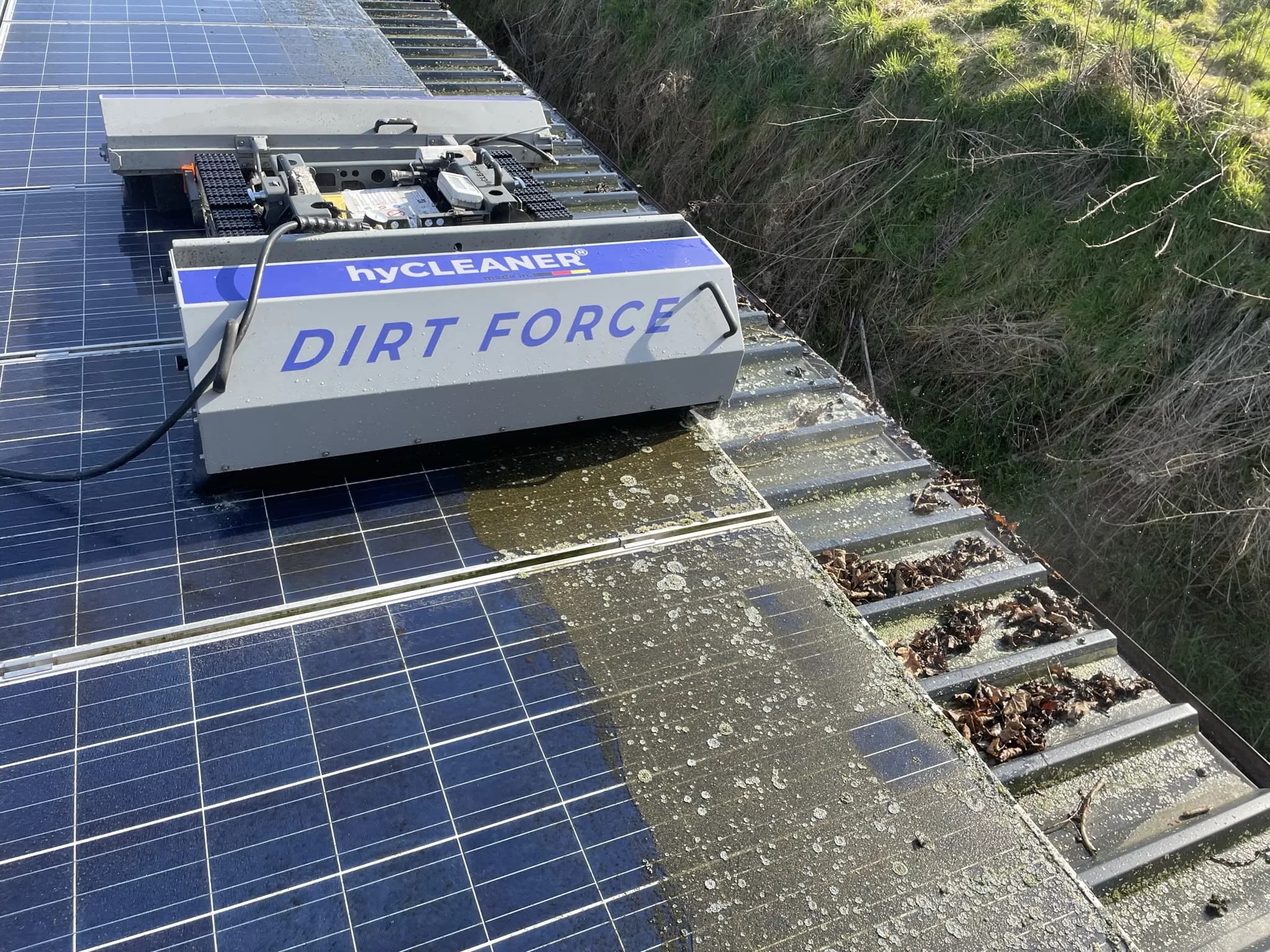 Fachgerechte Entfernung von Flechten auf einer Moduloberfläche